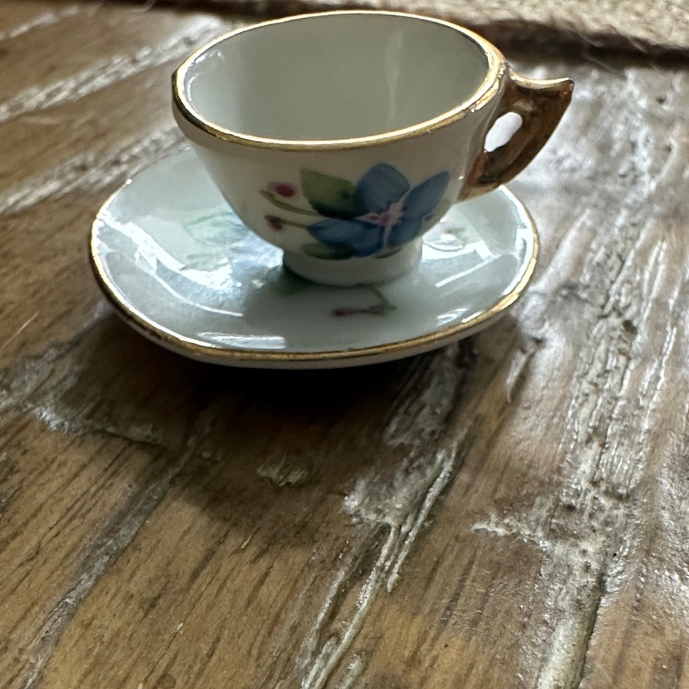 Vintage mini Floral Teacup and Saucer with Gold Trim